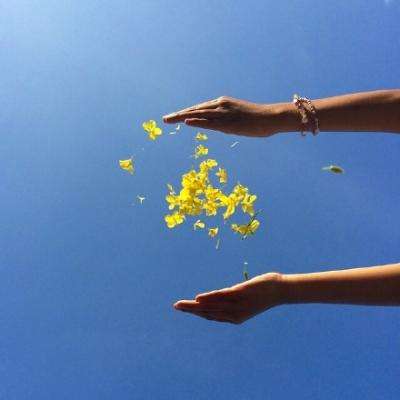 澳门新莆京游戏大厅手机app下载