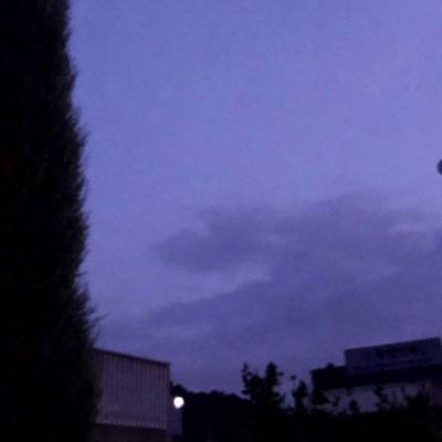 一肖三码手机app下载