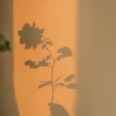 足球赌注软件截图