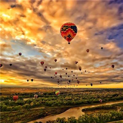 开元ky888网址进入2024入口